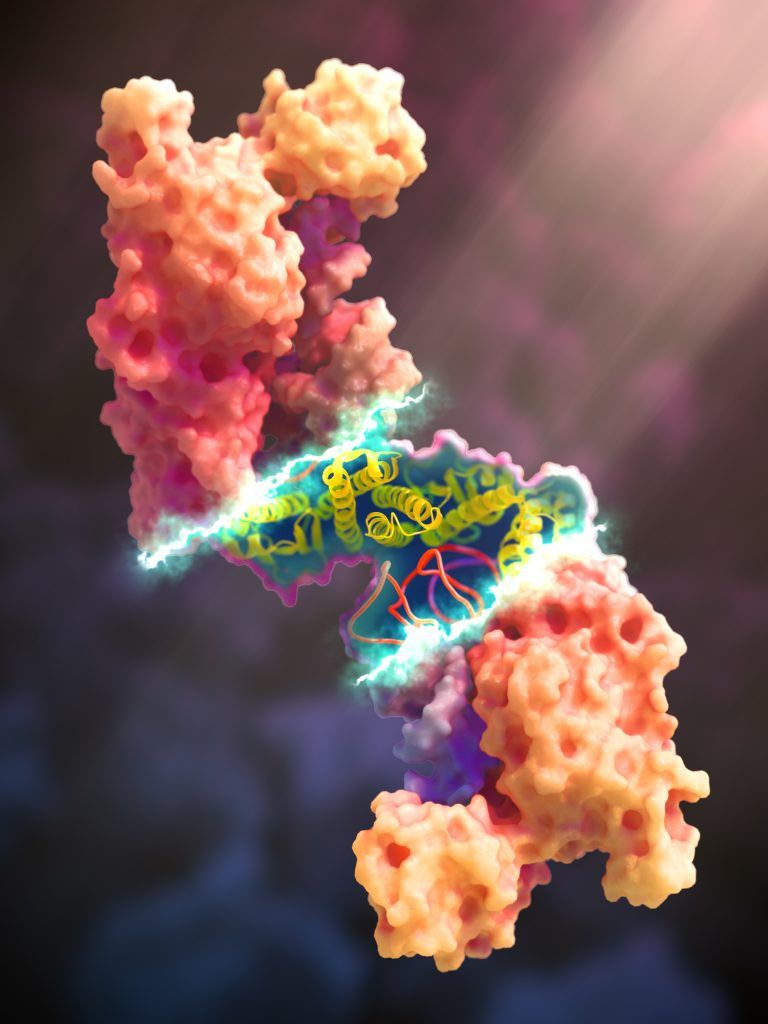 Molecular structure rendering representing ALUKA's protein modelling